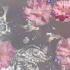 Meet your Posher, Amara